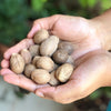 El The Cook Nutmeg or Jaiphal - 50 gms