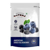 Nutraj Dried Blueberries - 150 gms