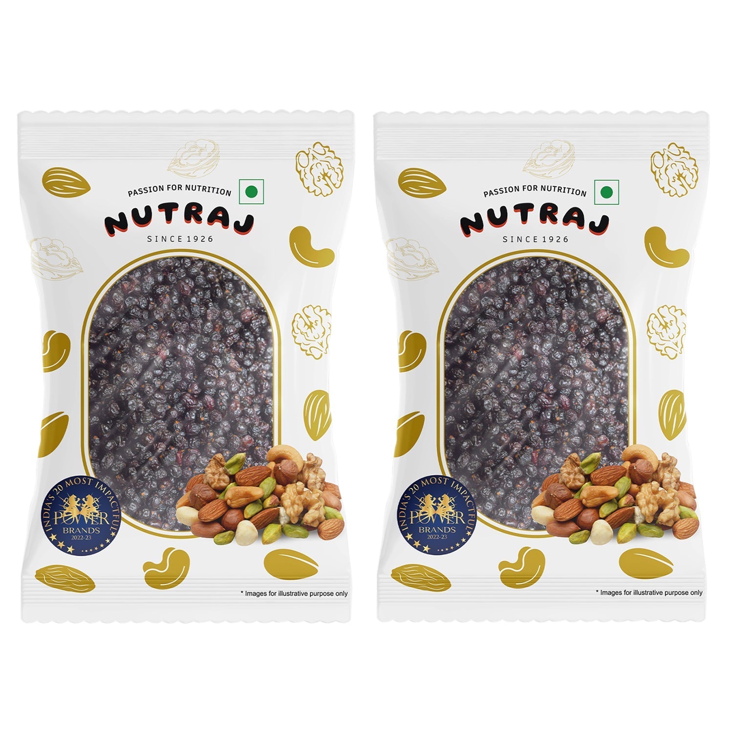 Nutraj Dried Black Currant 100gm