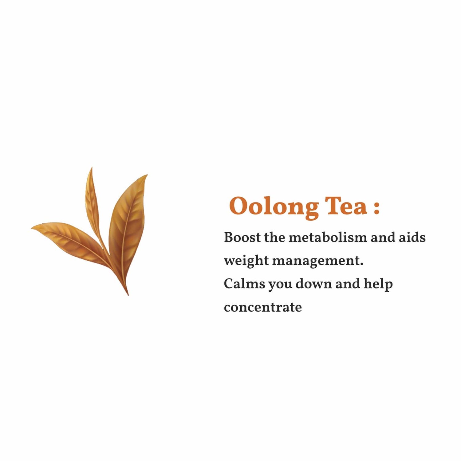 High Mountain Oolong Tea