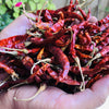 El The Cook Dried Spicy Red Chilis - 100 gms
