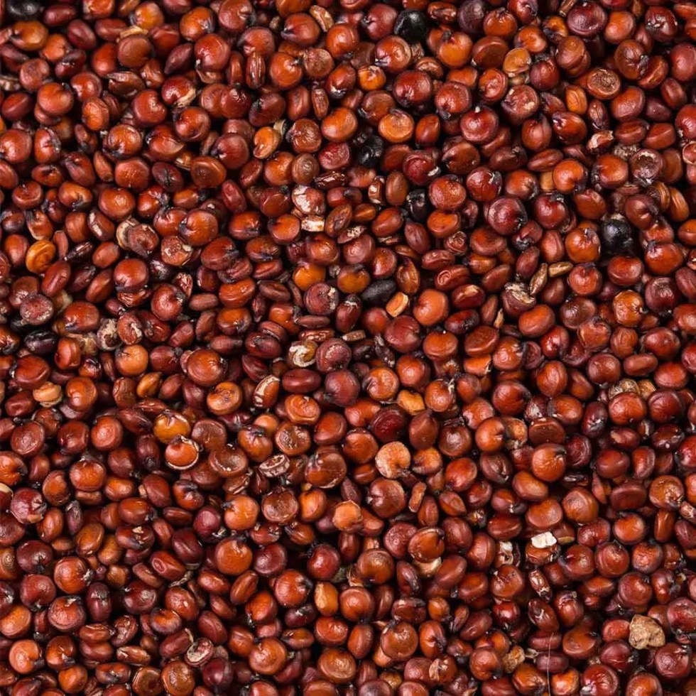 Red Quinoa