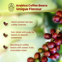 Organic Arabica Coffee Beans | Medium Dark Roast