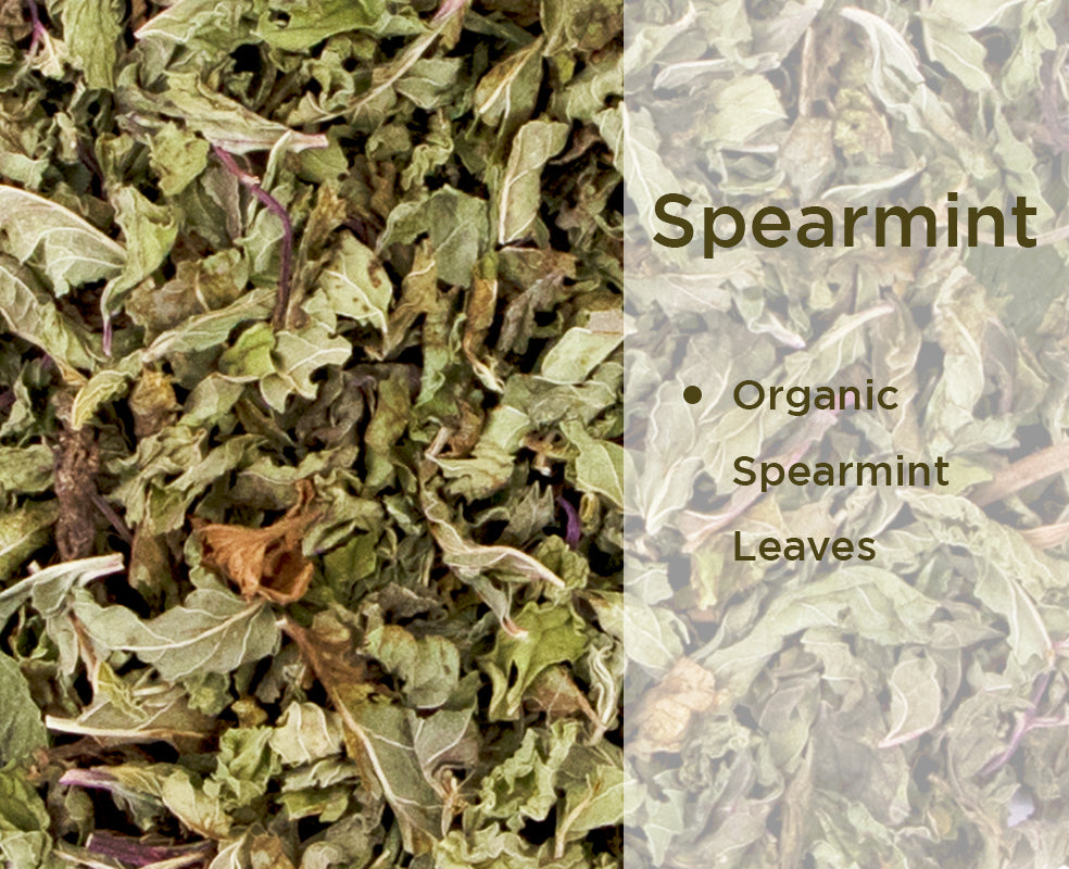 Organic Spearmint Tea for PCOS (25 g, 25 Cups)