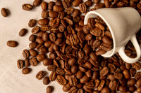 Organic Arabica Coffee Beans | Medium Dark Roast