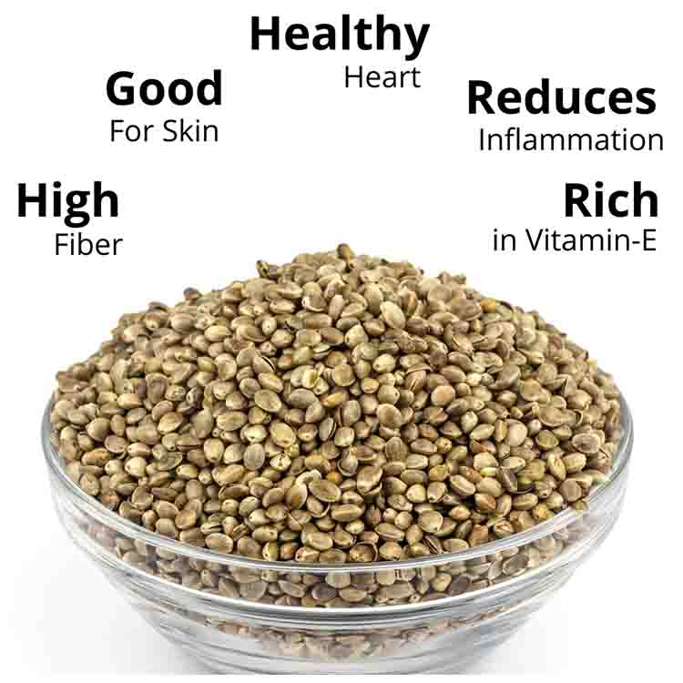 Hemp Seeds