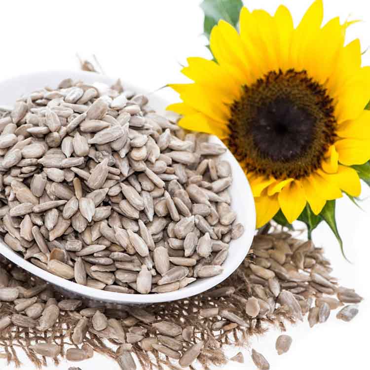 Sunflower Seeds (Surajmukhi ke Beej)